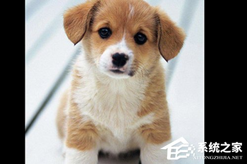 今天分享PS人物多重镜像怎么做