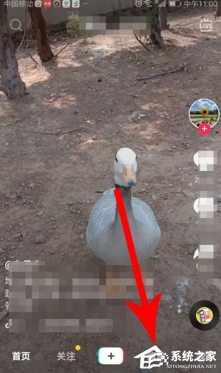 如何创建抖音群聊?创建抖音群聊的方法步骤