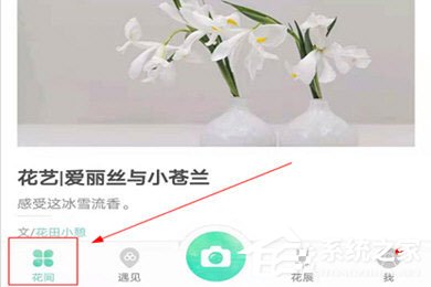 形色识花怎么养花?形色识花养花的方法
