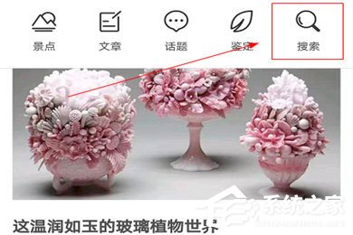 形色识花怎么养花?形色识花养花的方法