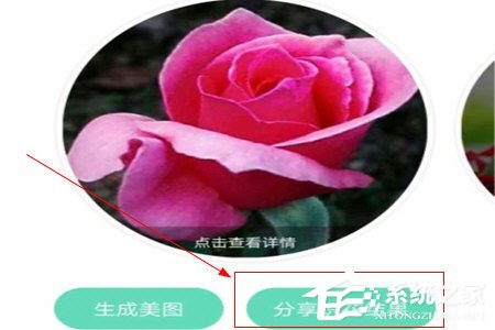 今天分享形色识花怎么今天分享到微信