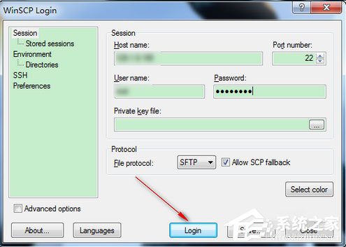 WinSCP怎么查看远程服务器日志?