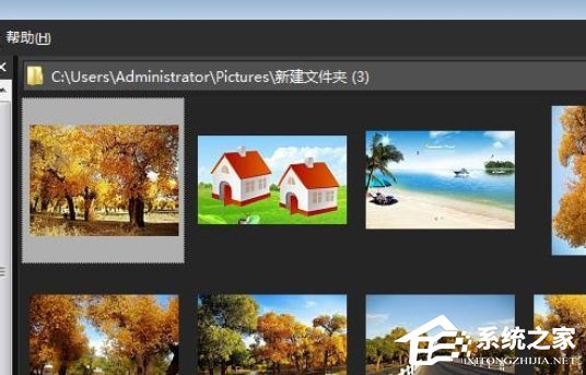 今天分享ACDSee如何快速调节缩略图显示大小