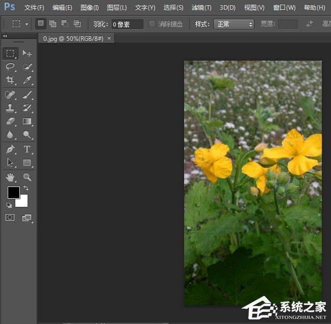 今天说说photoshop