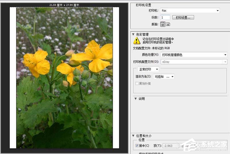 photoshop cs6如何一次打印多张照片?pscs6一次打印多张照片的方法