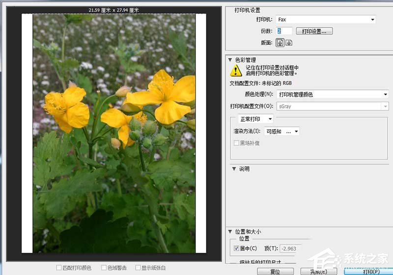 photoshop cs6如何一次打印多张照片?pscs6一次打印多张照片的方法