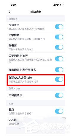 QQ大会员Q群铭牌在哪里设置?QQ大会员Q群铭牌设置的方法