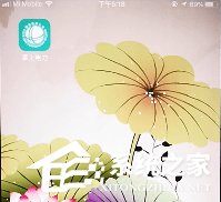 我来教你掌上电力如何交费