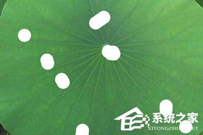 关于PS水滴效果怎么做（ps水滴效果怎么做 视频）