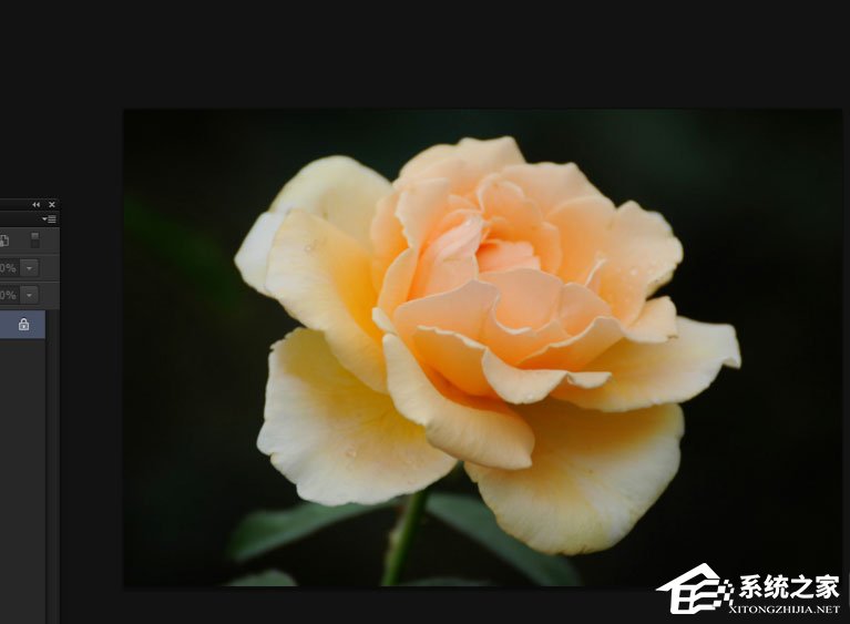 我来教你Photoshop中怎么使用抓手工具