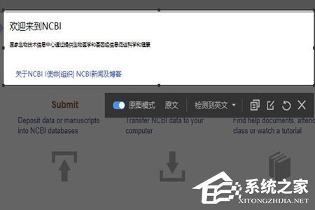 有道词典怎么截图翻译?有道词典截图翻译的方法