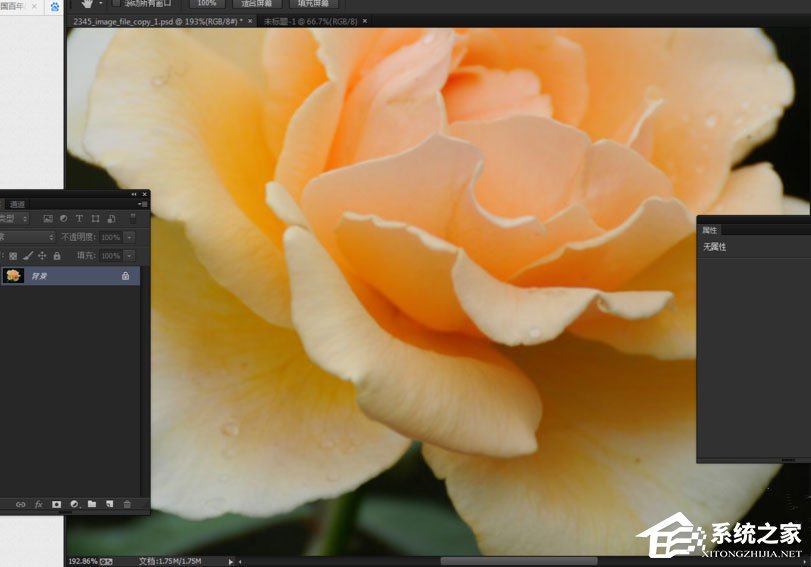 Photoshop中怎么使用抓手工具?Photoshop中使用抓手工具的方法