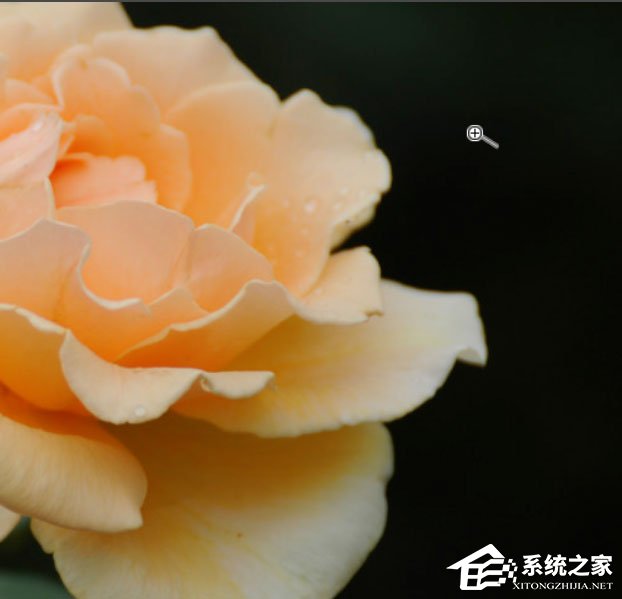 Photoshop中怎么使用抓手工具?Photoshop中使用抓手工具的方法