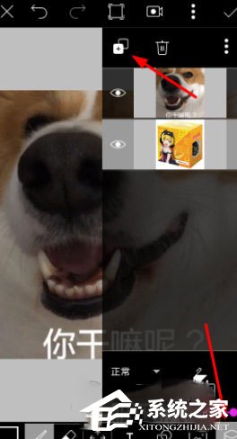 美易相机怎么编辑视频?美易相机编辑视频的方法