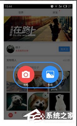 美圈app怎么发布作品?美圈app发布作品的方法