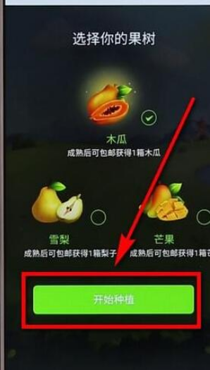 我来教你怎么参与拼多多中多多果园活动