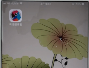 有道翻译官中怎么更换语音 有道翻译官中更换语音的方法