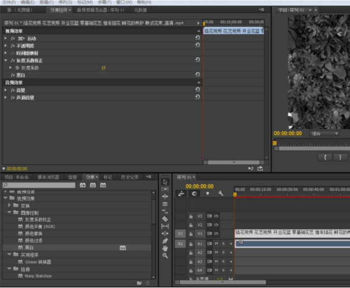Premiere怎么将视频色彩调成黑白色 Premiere将彩色视频黑白化的教程