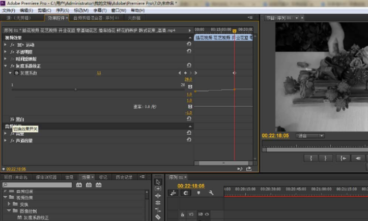 Premiere怎么将视频色彩调成黑白色 Premiere将彩色视频黑白化的教程