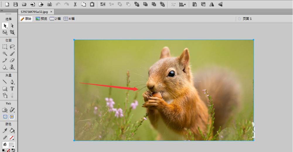 如何用Fireworks中的橡皮图章工具处理图片 用Fireworks中的橡皮图章工具处理图片的方法