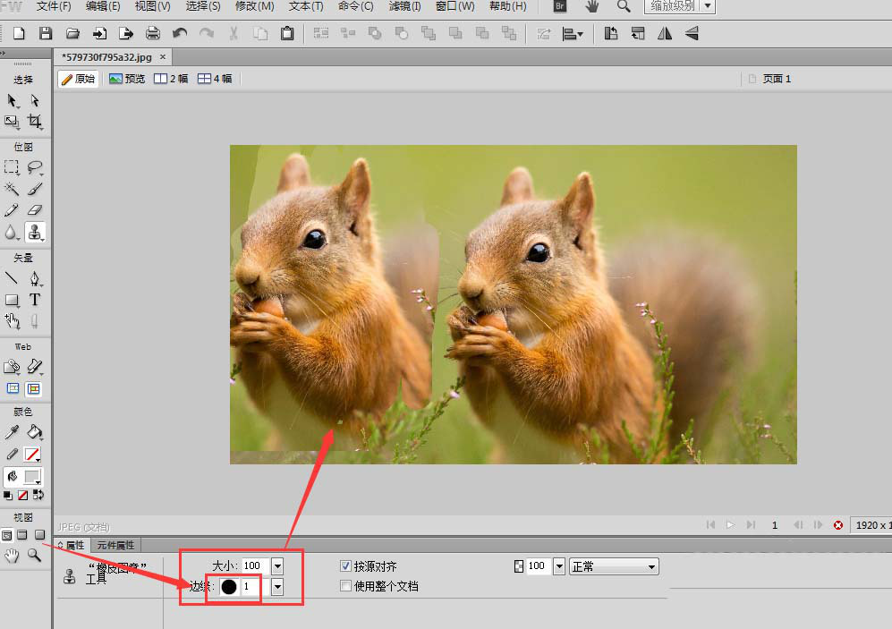 如何用Fireworks中的橡皮图章工具处理图片 用Fireworks中的橡皮图章工具处理图片的方法
