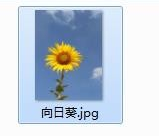 我来教你如何用画图工具制作圆形的头像