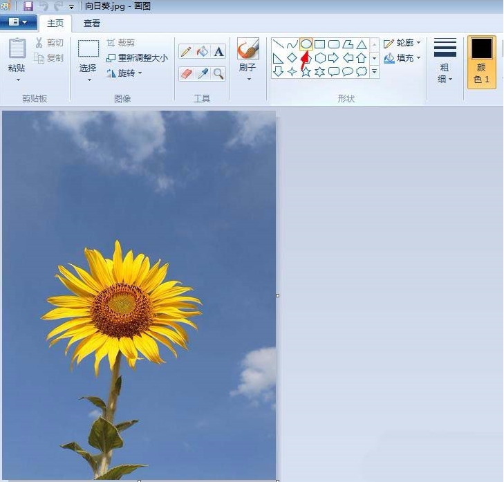 如何用画图工具制作圆形的头像 用画图工具制作圆形的头像的教程