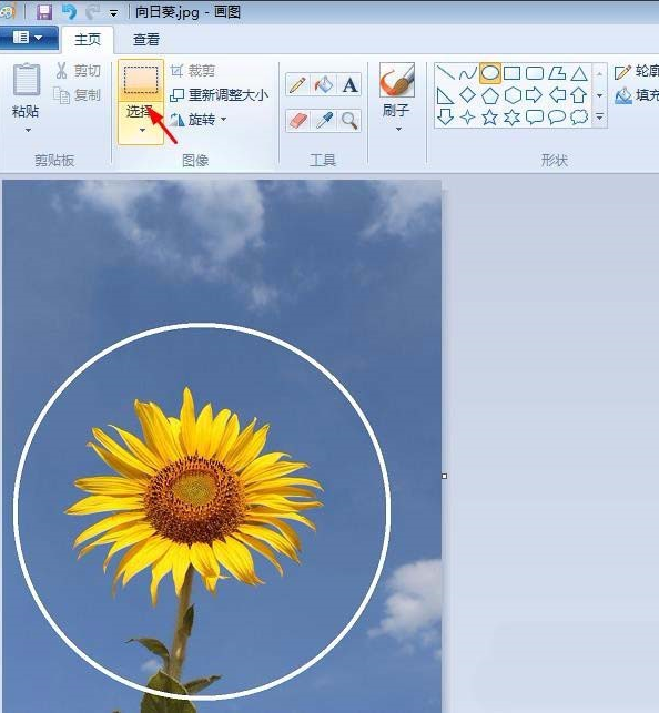 如何用画图工具制作圆形的头像 用画图工具制作圆形的头像的教程