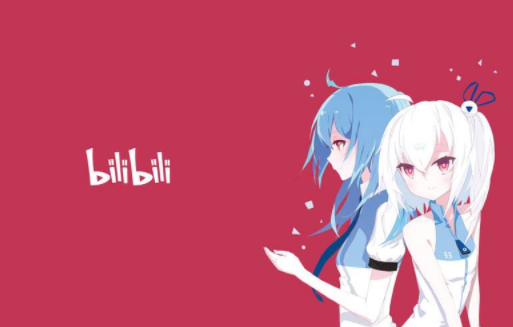 今天说说bilibili弹幕如何撤回（bilibili弹幕撤回别人看的见吗）