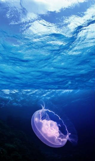 PS蒙版的作用有哪些？PS蒙版的用途我来教你