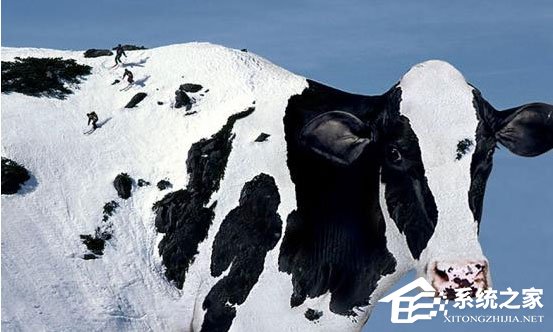 PS蒙版的作用有哪些？PS蒙版的用途我来教你