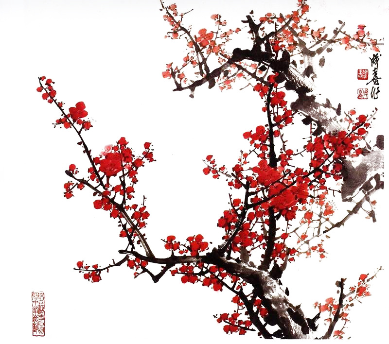 我来教你PS如何使用通道抠梅花