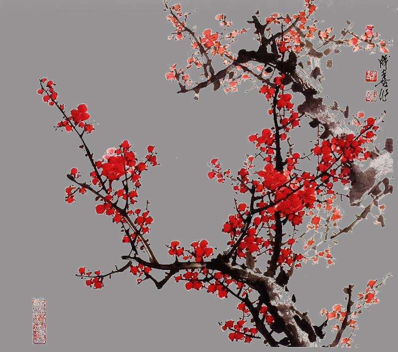 PS如何使用通道抠梅花？PS通道抠图教程我来教你