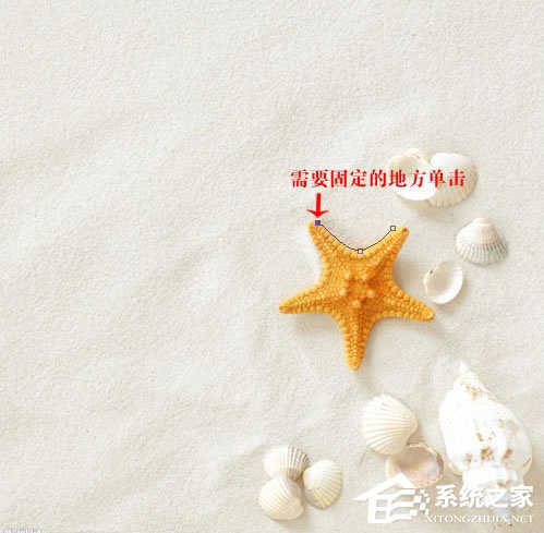 磁性套索工具怎么用?PS磁性套索工具使用技巧