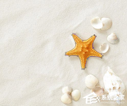 磁性套索工具怎么用?PS磁性套索工具使用技巧