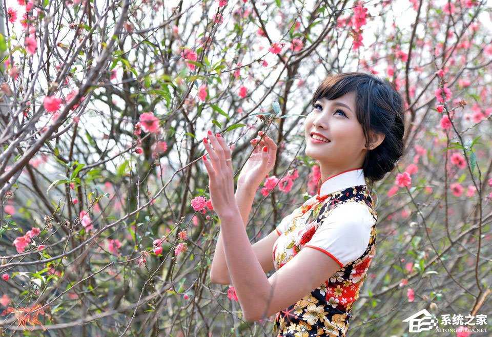 小编教你PS历史记录画笔工具怎么用（ps历史记录画笔工具怎么恢复）