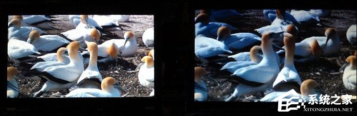 显示器面板类型的区别有哪些?电脑显示器哪种面板好?