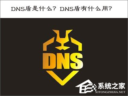 小编分享DNS盾是什么（私人dns是什么意思）