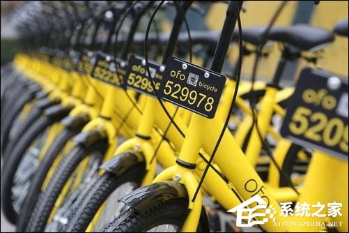 ofo共享单车芝麻信用免押金怎么开通？ofo免押金要多少分？