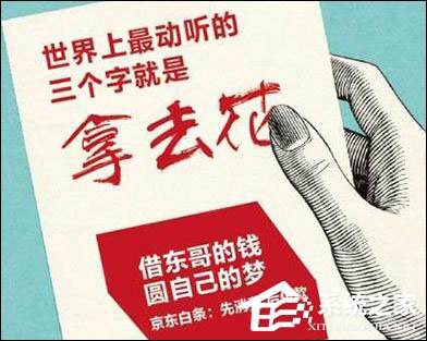 今天说说网购也能打白条