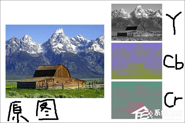 科普:今天说说图像格式JPG和JPEG你知多少?