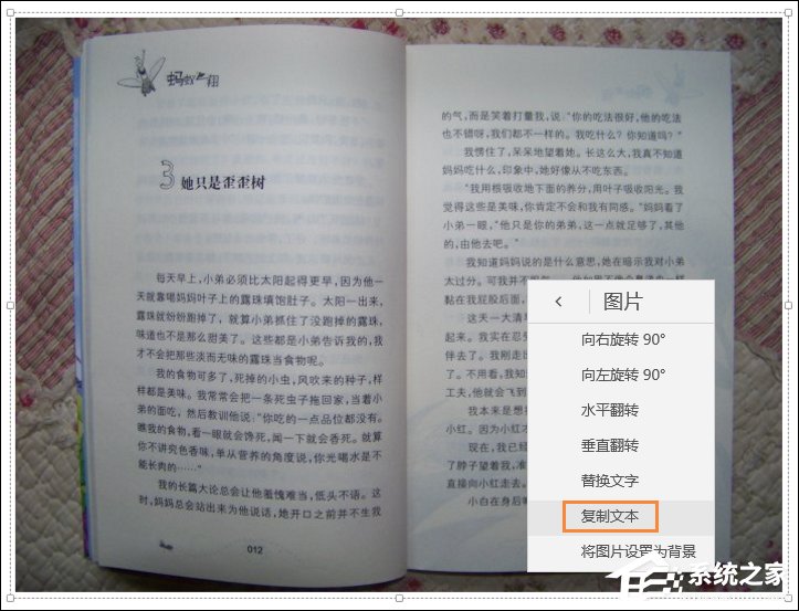 Win10系统如何利用OneNote将图片转换文字?