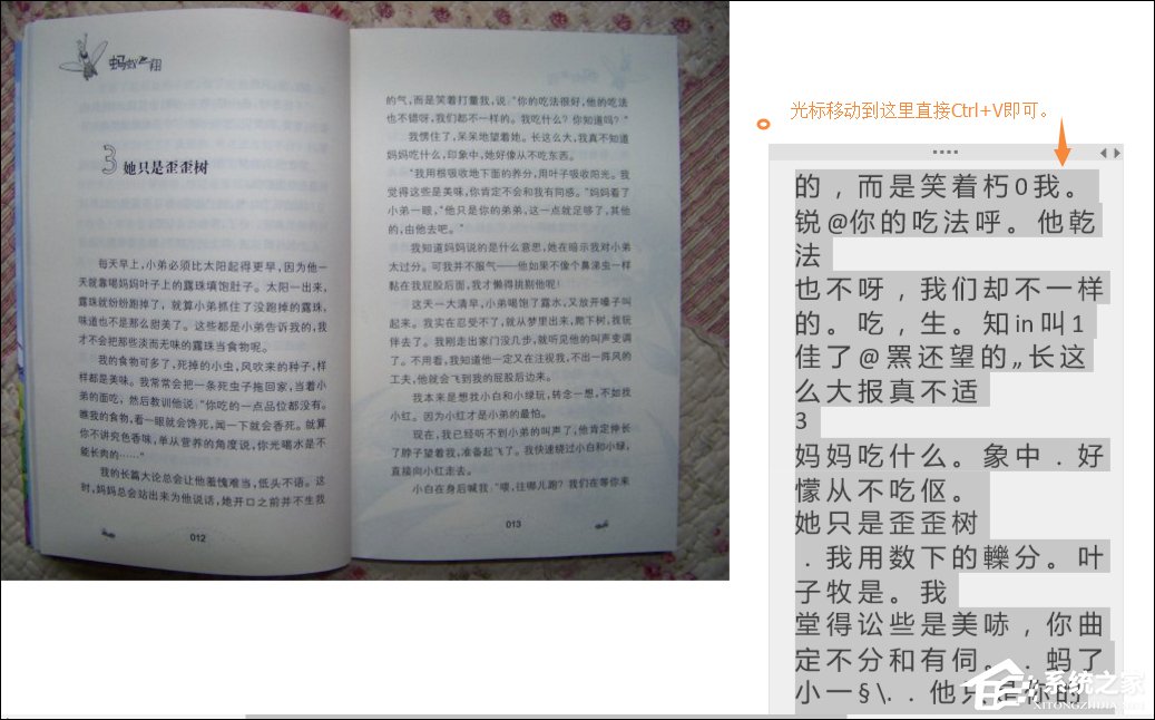 Win10系统如何利用OneNote将图片转换文字?