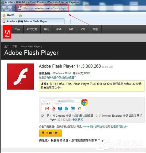 WinXP系统Flash Player安装遇到错误怎么办?