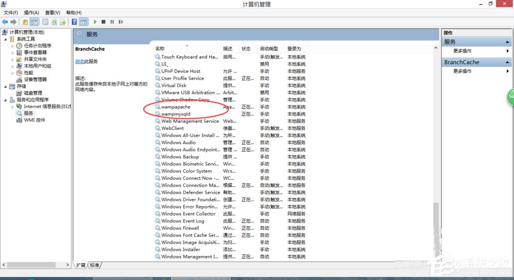 Win7系统wampserver在线但localhost打不开怎么办?