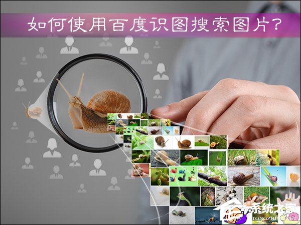 我来教你如何使用百度识图搜索图片