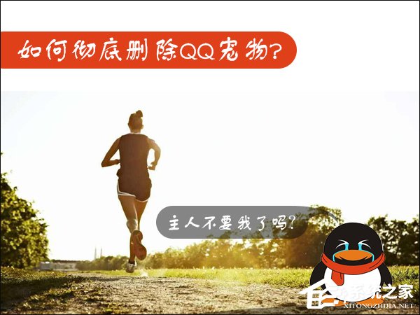 小编教你Win7如何卸载QQ宠物（如何卸载qq宠物程序）