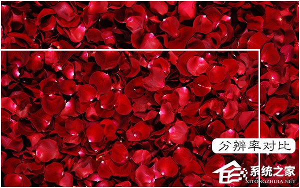 图片像素和分辨率有哪些关系和区别?