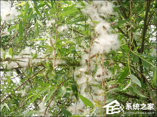 防尘机箱如何选购?主机防尘策略三大要素解析