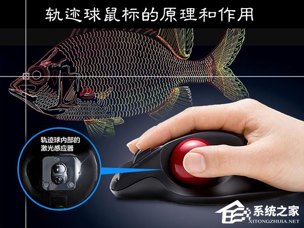 小编教你轨迹球鼠标好用吗